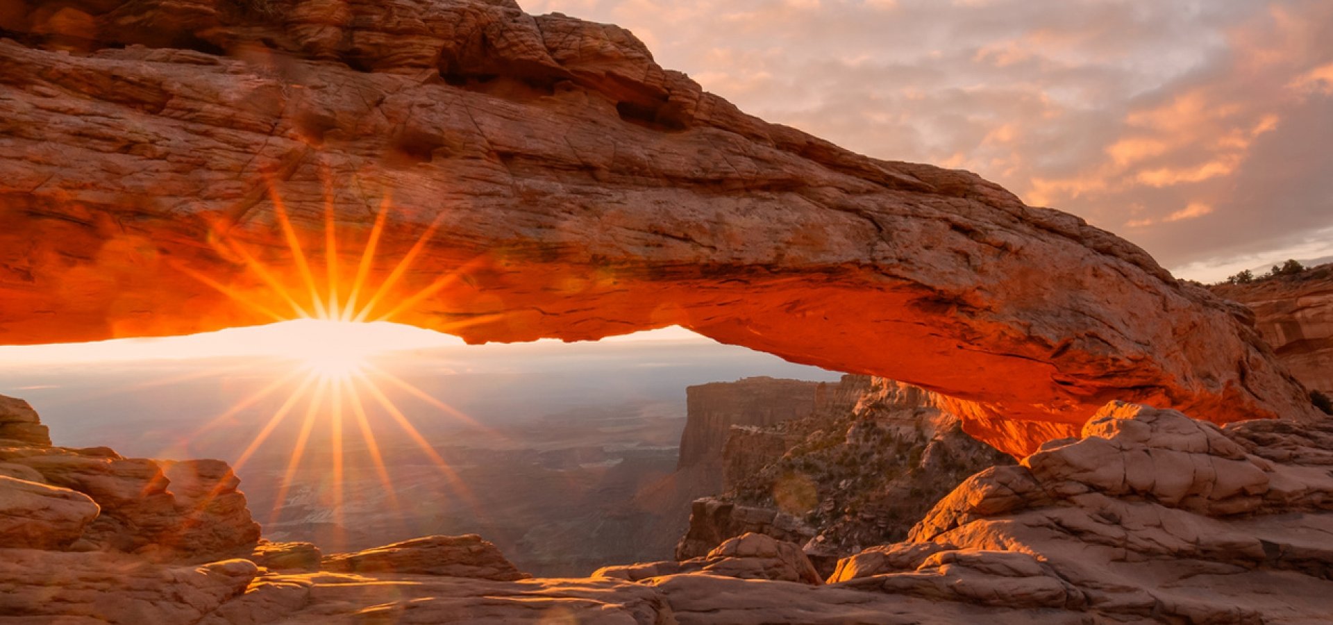 does canyonlands national park allow dogs